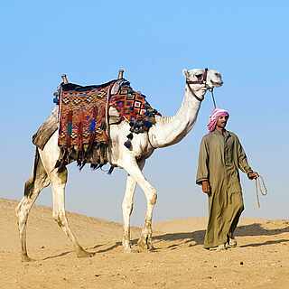 Nomade mit Kamel in der Wüste